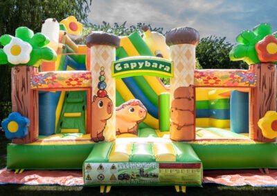 Alpaka Band Just Jump